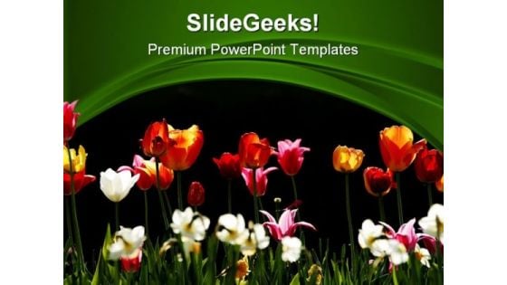 Tulips Beauty PowerPoint Templates And PowerPoint Backgrounds 0311