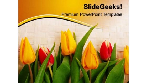 Tulips Beauty PowerPoint Templates And PowerPoint Themes 0512