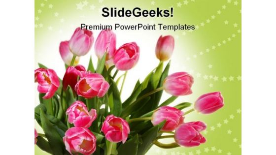 Tulips Bouquet Beauty PowerPoint Themes And PowerPoint Slides 0211