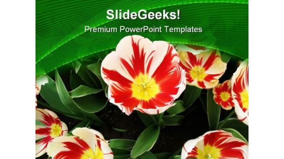 Tulips Flower Beauty PowerPoint Templates And PowerPoint Backgrounds 0411