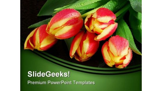 Tulips Nature PowerPoint Templates And PowerPoint Backgrounds 0211