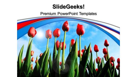 Tulips Nature PowerPoint Templates And PowerPoint Themes 0512