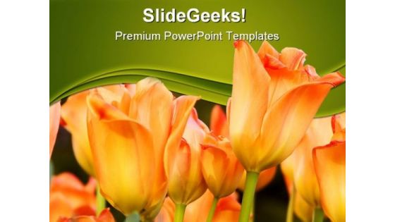 Tulips Nature PowerPoint Themes And PowerPoint Slides 0211