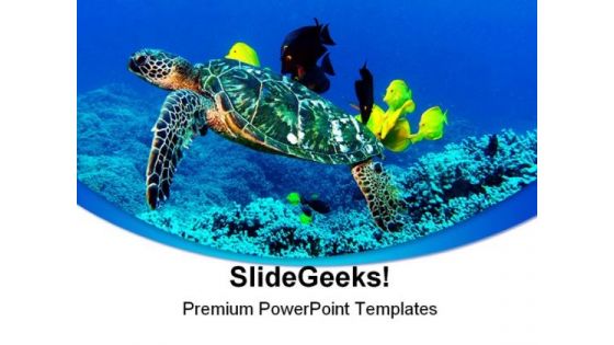 Turtle Animal PowerPoint Template 0910