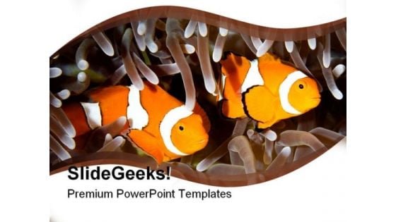 Two Clown Fishes Animals PowerPoint Templates And PowerPoint Backgrounds 0211