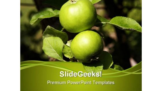 Two Green Apples Food PowerPoint Templates And PowerPoint Backgrounds 0211