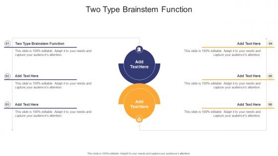 Two Type Brainstem Function In Powerpoint And Google Slides Cpb