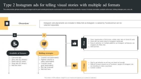 Type 2 Instagram Ads For Telling Comprehensive Guide For Paid Media Marketing Strategies Topics Pdf