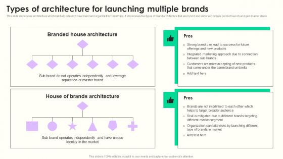 Types Of Architecture Launching Maximizing Sales Via Online Brand Marketing Strategies Template Pdf