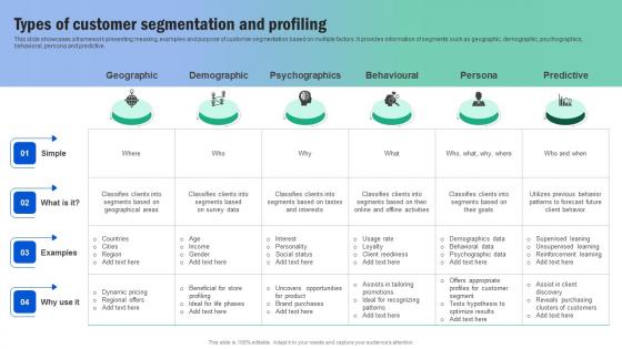 Types Of Customer Segmentation And Profiling Guide For Segmenting And Formulating Themes Pdf