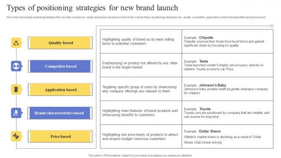 Types Of Positioning Strategies For New Brand Launch Maximizing Revenue Using Ideas Pdf