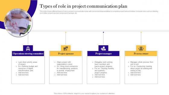 Types Of Role In Project Communication Plan Professional Pdf