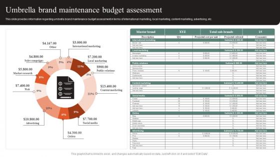 Umbrella Brand Maintenance Budget Assessment Effective Brand Maintenance Introduction Pdf