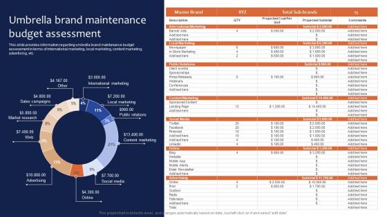 Umbrella Brand Maintenance Budget Assessment Leveraging Corporate Themes Pdf