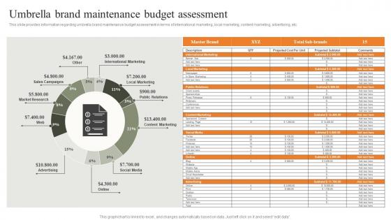 Umbrella Brand Maintenance Budget Assessment Strategies For Achieving Summary Pdf