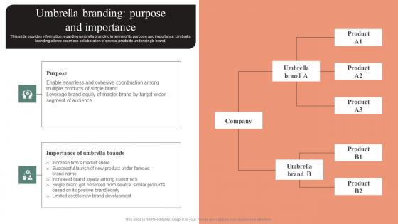 Umbrella Branding Purpose And Importance Effective Brand Maintenance Slides Pdf