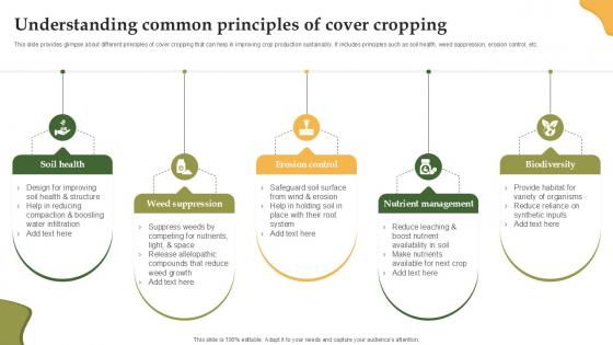 Understanding Common Principles Of Cover Enhancing Productivity With Adoption PPT Slide
