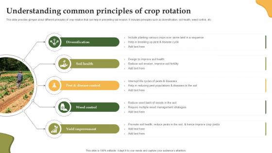Understanding Common Principles Of Crop Enhancing Productivity With Adoption PPT Template