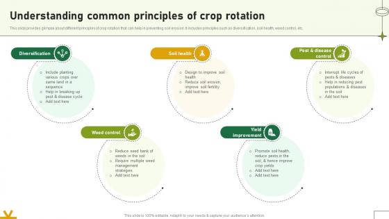 Understanding Common Principles Of Crop Rotation Adopting Sustainable Farming Techniques Understanding Common Principles Of Crop Rotation Adopting Sustainable Farming Techniques