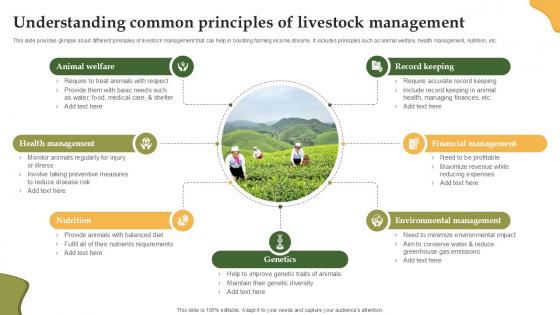 Understanding Common Principles Of Enhancing Productivity With Adoption PPT Template