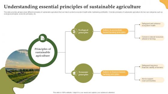 Understanding Essential Principles Enhancing Productivity With Adoption PPT Sample