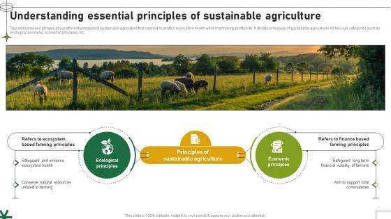 Understanding Essential Principles Of Sustainable Agriculture Adopting Sustainable Farming Techniques Understanding Essential Principles Of Sustainable Agriculture Adopting Sustainable Farming Techniques