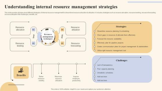 Understanding Internal Resource Holistic Marketing Strategies To Optimize Background Pdf