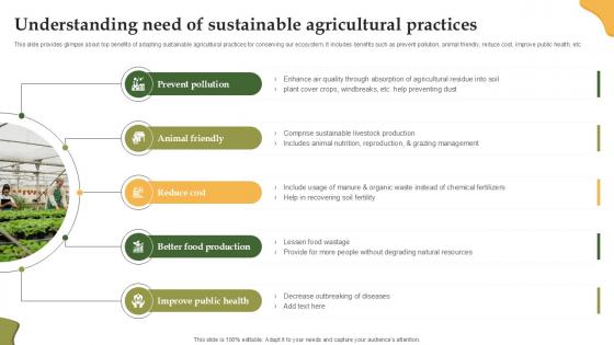 Understanding Need Of Sustainable Enhancing Productivity With Adoption PPT Slide Understanding Need Of Sustainable Enhancing Productivity With Adoption PPT Slide