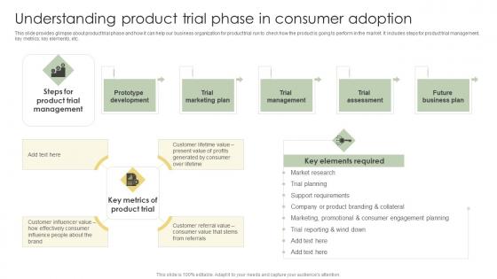 Understanding Product Trial Phase In Consumer Analyzing Customer Adoption Journey Mockup Pdf