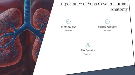 Understanding Vena Cava And Function PPT Example AT Slide03