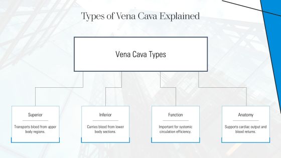 Understanding Vena Cava And Function PPT Example AT Slide05