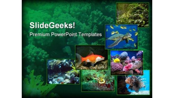 Underwater Animals Nature PowerPoint Templates And PowerPoint Backgrounds 0211