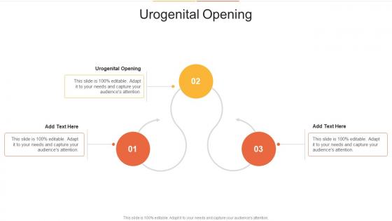Urogenital Opening In Powerpoint And Google Slides Cpb Urogenital Opening In Powerpoint And Google Slides Cpb
