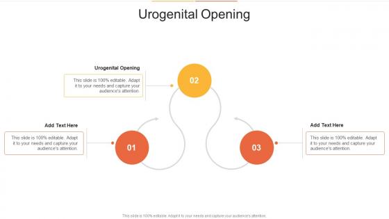 Urogenital Opening In Powerpoint And Google Slides Cpb