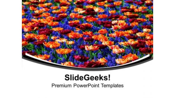 Valley Of Flowers PowerPoint Templates Ppt Backgrounds For Slides 0513