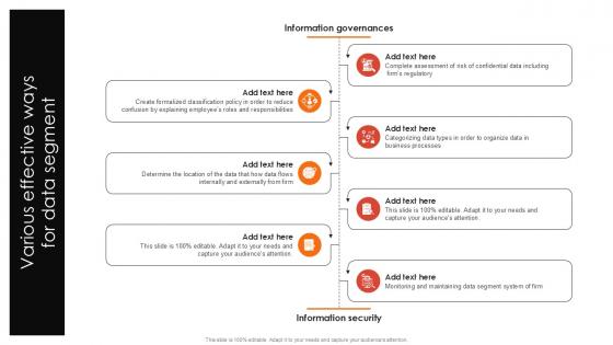 Various Effective Ways For Data Segment PPT Sample SS