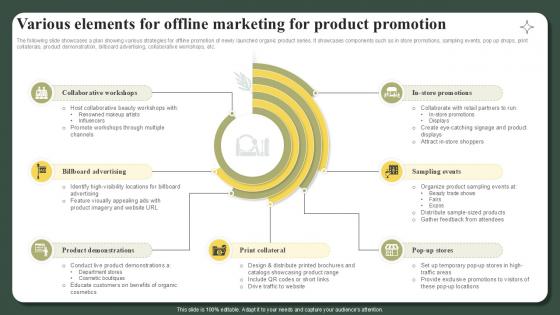 Various Elements For Offline Marketing For Product Promotion Successful Launch Ppt Template Various Elements For Offline Marketing For Product Promotion Successful Launch Ppt Template