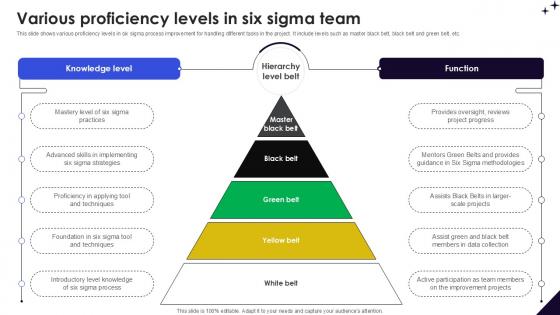Various Proficiency Levels In DMAIC Methodology To Maintain PPT Presentation