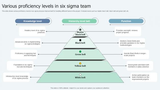 Various Proficiency Levels In Lean Six Sigma In Manufacturing Ppt Slide Various Proficiency Levels In Lean Six Sigma In Manufacturing Ppt Slide