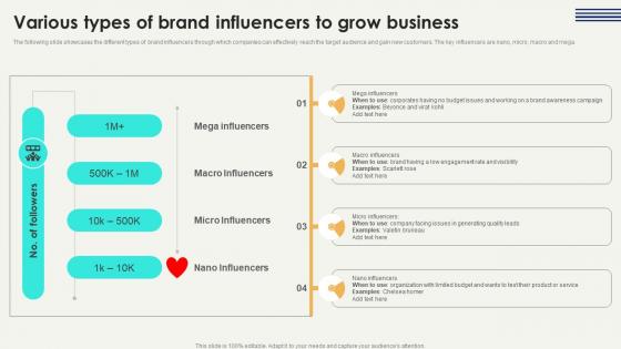 Various Types Brand Influencers Digital Marketing Strategies Improve Enterprise Sales Graphics Pdf