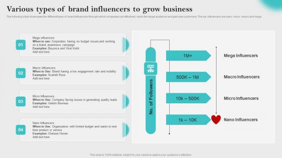 Various Types Of Brand Influencers To Innovative Business Promotion Ideas Elements Pdf Various Types Of Brand Influencers To Innovative Business Promotion Ideas Elements Pdf