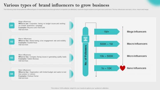 Various Types Of Brand Influencers To Innovative Business Promotion Ideas Elements Pdf