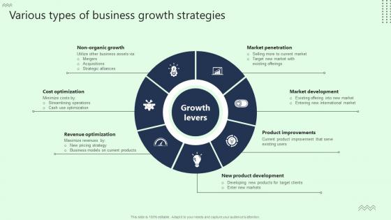 Various Types Of Business Growth Strategies Microsoft Pdf