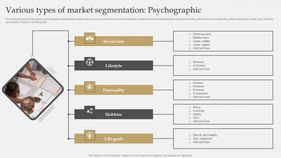 Various Types Of Market Segmentation Psychographic IT Industry Market Research Diagrams Pdf