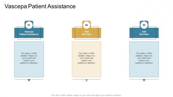 Vascepa Patient Assistance In Powerpoint And Google Slides Cpb