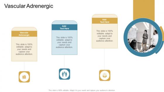 Vascular Adrenergic In Powerpoint And Google Slides Cpb