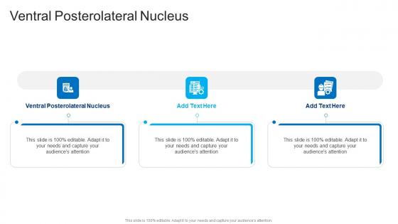 Ventral Posterolateral Nucleus In Powerpoint And Google Slides Cpb