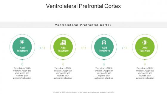 Ventrolateral Prefrontal Cortex In Powerpoint And Google Slides Cpb