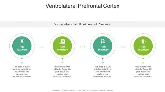 Ventrolateral Prefrontal Cortex In Powerpoint And Google Slides Cpb