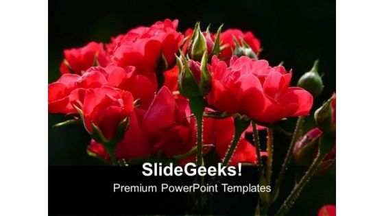 Vibrant And Beautiful Red Roses PowerPoint Templates Ppt Backgrounds For Slides 1212